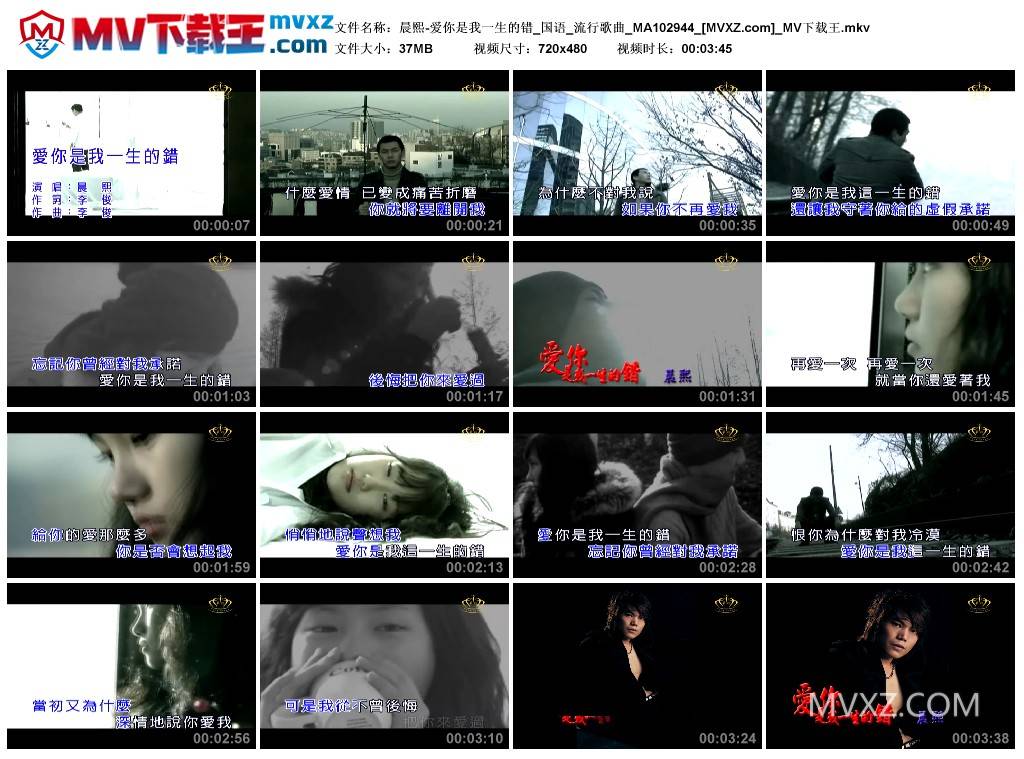晨熙-爱你是我一生的错_国语_流行歌曲_MA102944